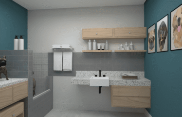 GENESIS (47 e 53m²) – 2 DORM (SUÍTE) – 1 VAGA – CAMILOPOLIS