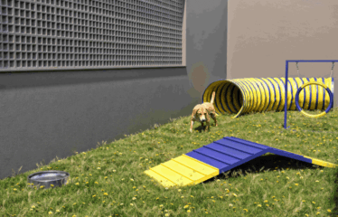 UNIK- 38M – 2 DORM – 1  VAGA – CANHEMA